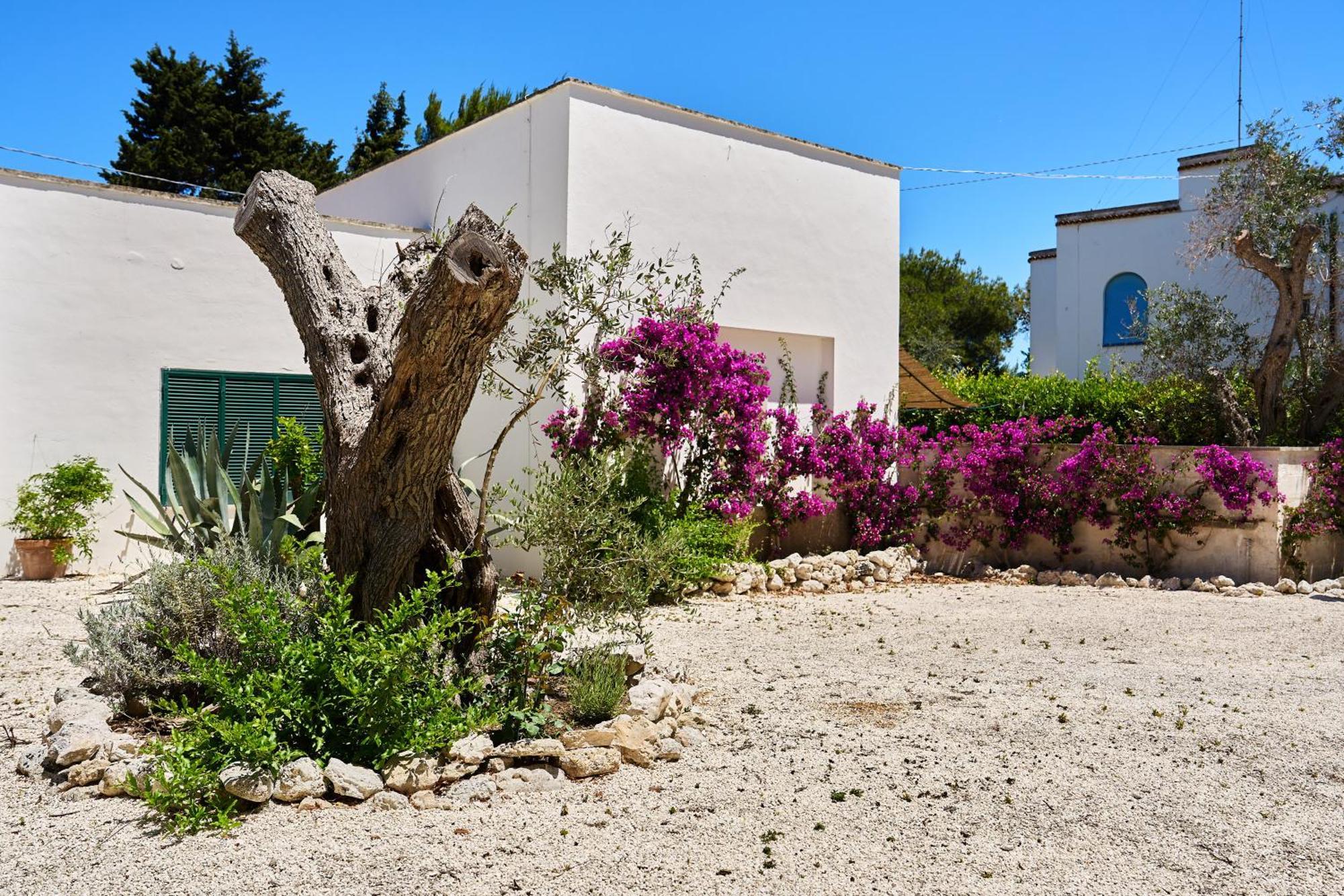 Tenuta Belvedere Otranto Luaran gambar