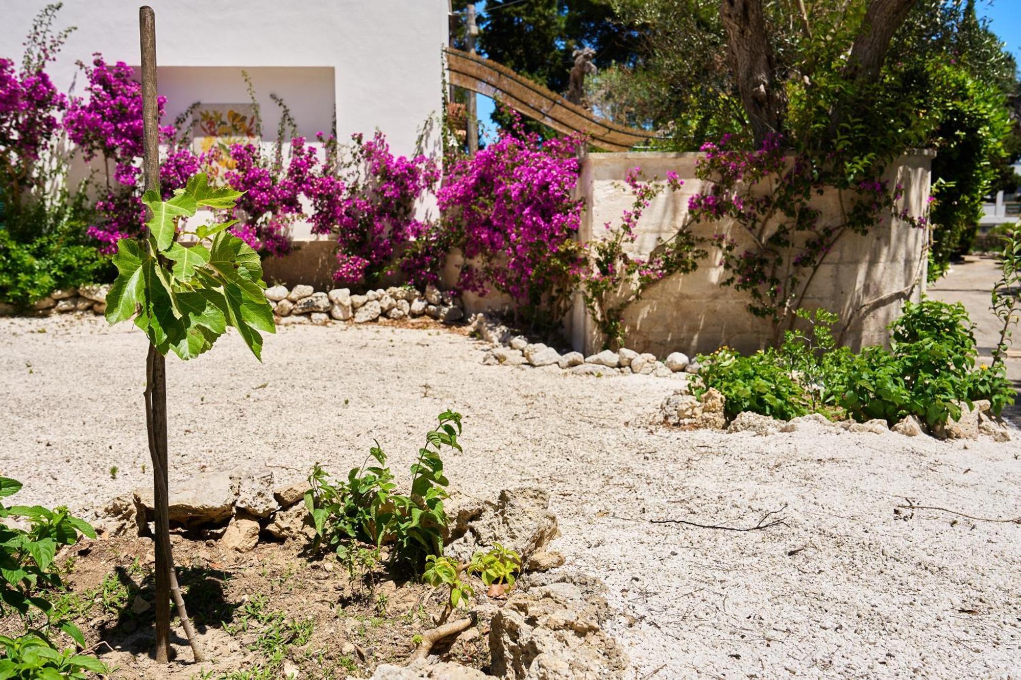 Tenuta Belvedere Otranto Luaran gambar