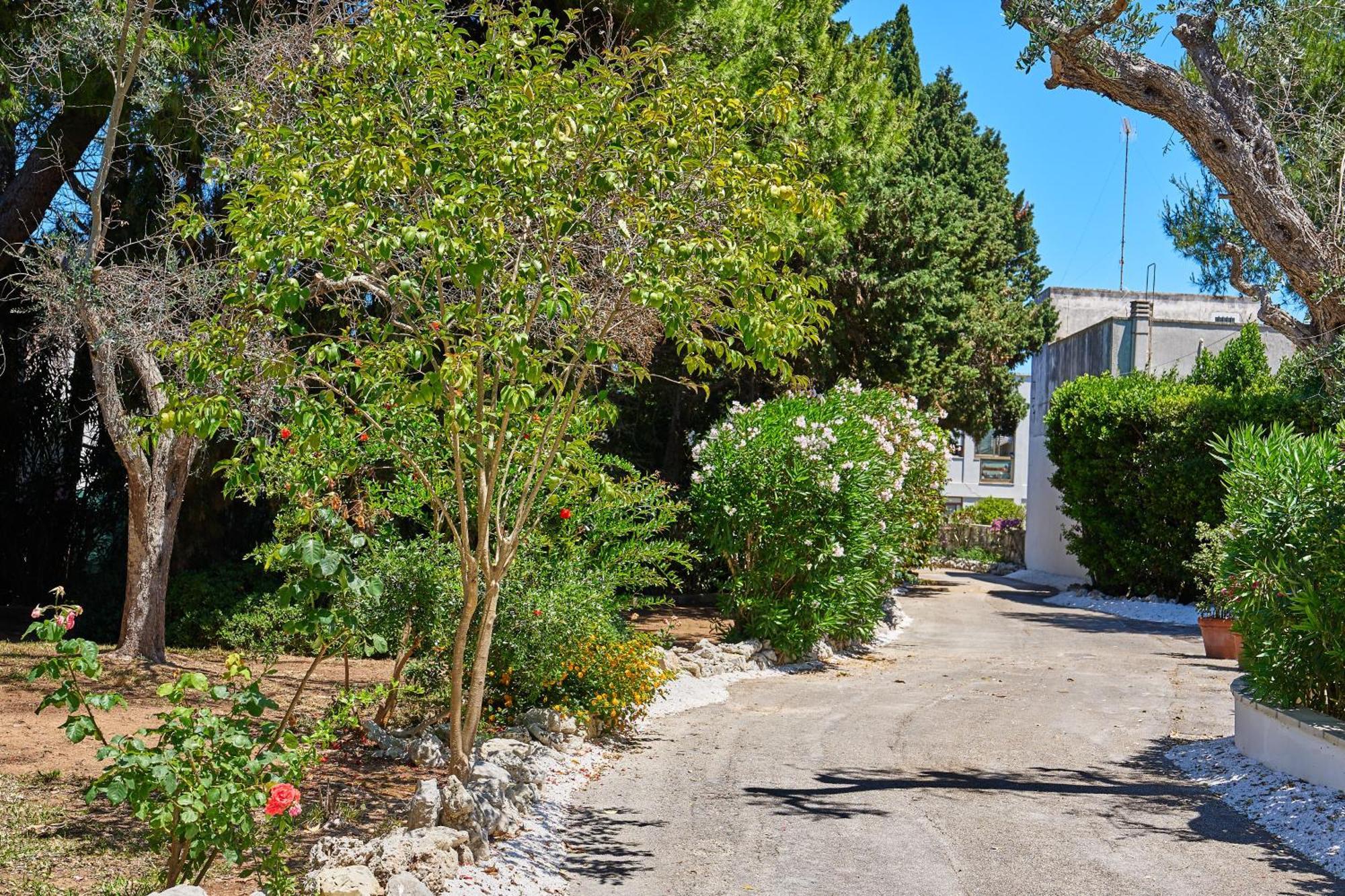Tenuta Belvedere Otranto Luaran gambar